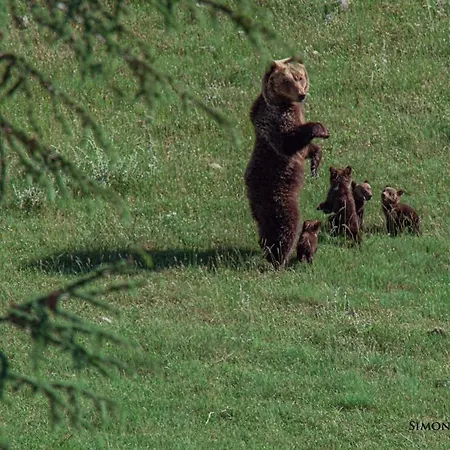 La Casetta Di Anna Appartement