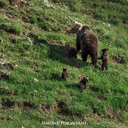 La Casetta Di Anna Appartement Villalago