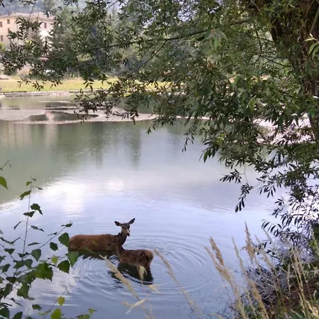 Appartement La Casetta Di Anna
