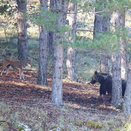 La Casetta Di Anna Appartement Villalago