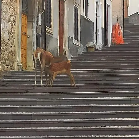 La Casetta Di Anna דירה
