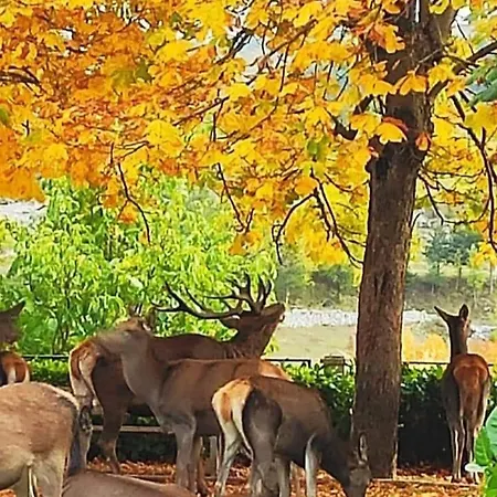 Appartement La Casetta Di Anna *