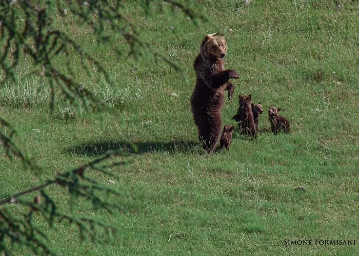 La Casetta Di Anna Апартаменты