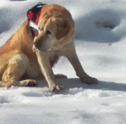 La Casetta Di Anna Апартаменты *