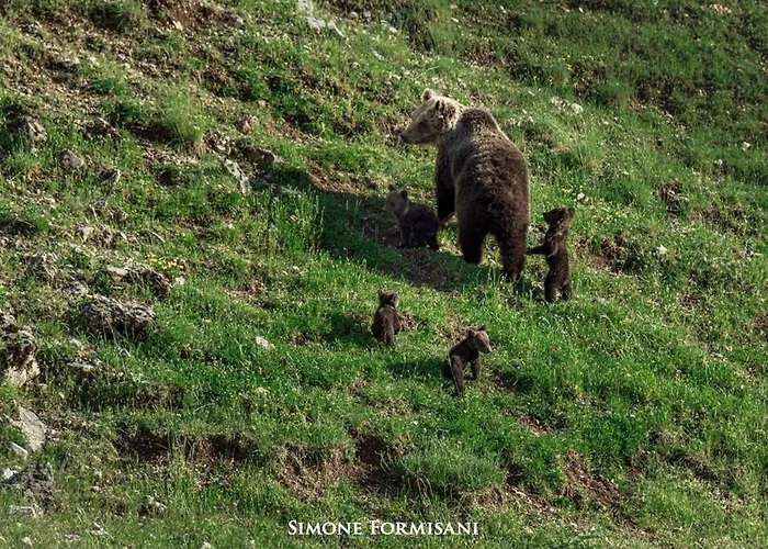 La Casetta Di Anna Апартаменты Villalago