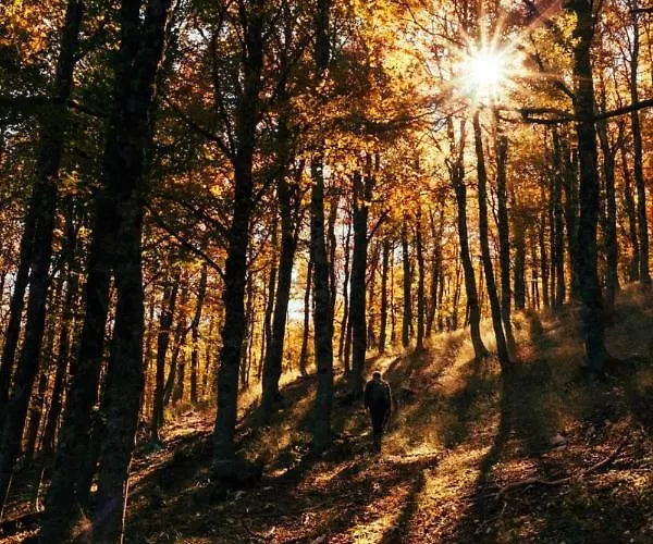 La Casetta Di Anna * Villalago