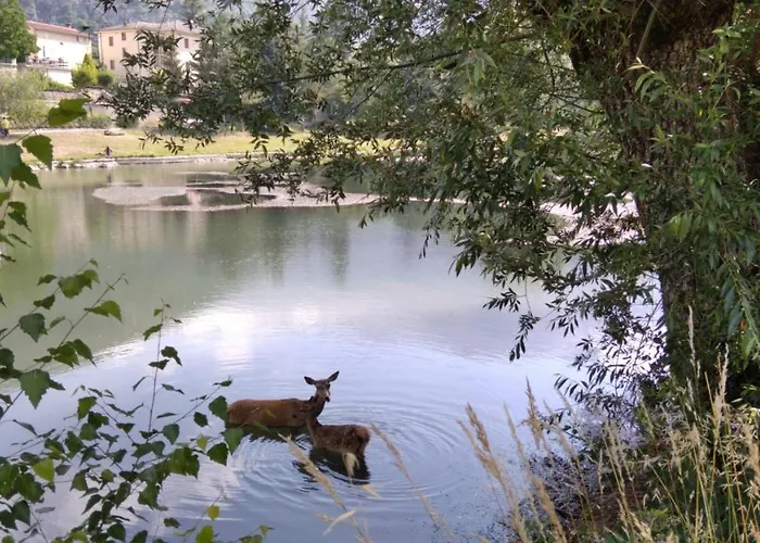 Апартаменты La Casetta Di Anna