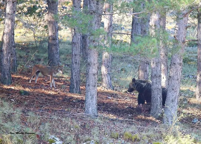 La Casetta Di Anna Апартаменты Villalago