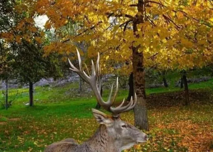 La Casetta Di Anna Villalago