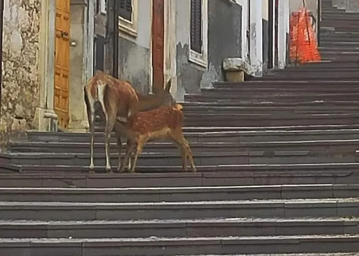 La Casetta Di Anna Апартаменты