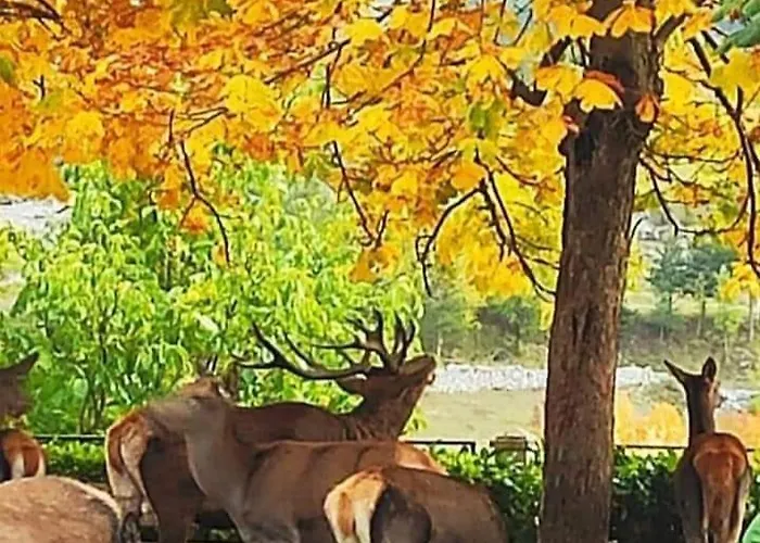 Апартаменты La Casetta Di Anna *